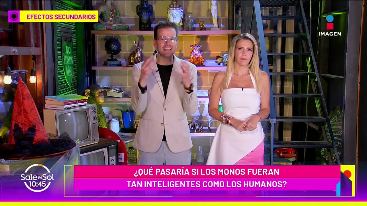 ¿Qué pasaría si los monos fueran más inteligentes que los humanos?