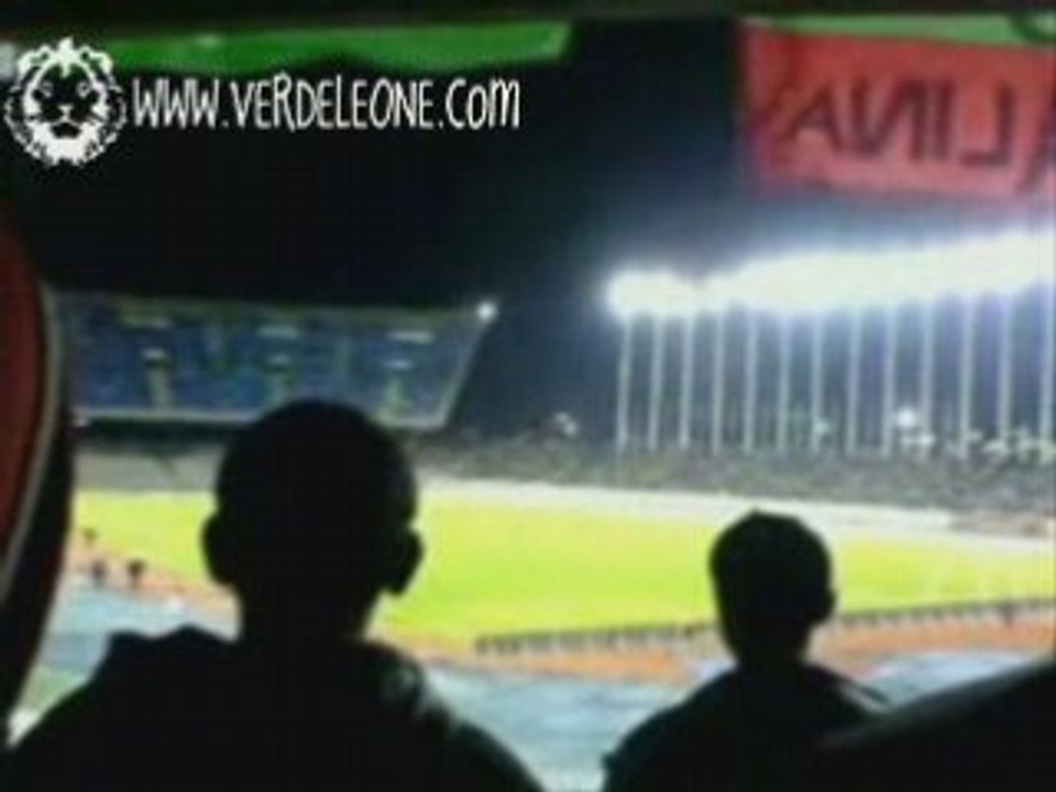 MCA 1 - ESS 1 - Verde Leone les ultras du MCA