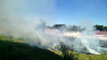 Incêndio atinge área de vegetação no Bairro Coqueiral
