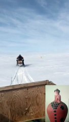 Heart-pounding | encounter with a massive polar bear OMG