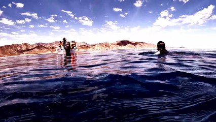 Sea of Swimming Mobula Rays