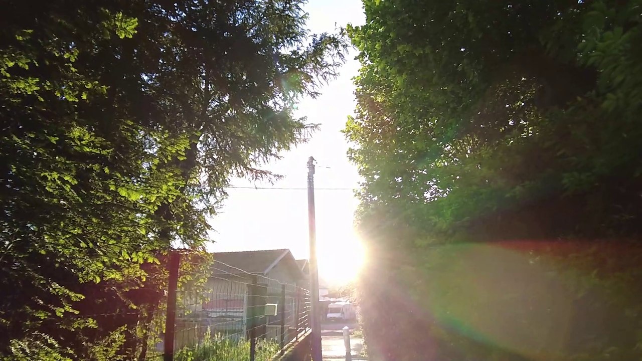 Vlog 1 : Balade en foret
