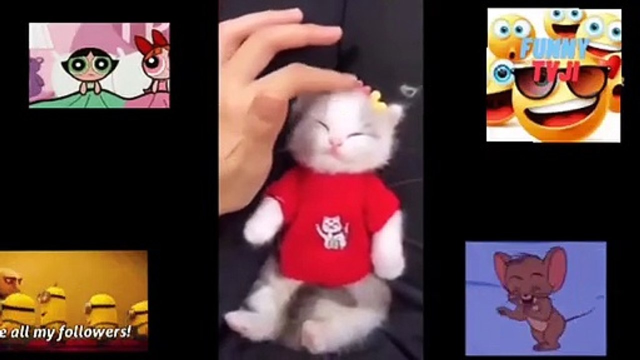ALL FUNNY ANIMAL 4
