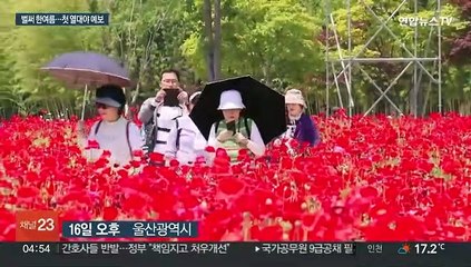 강릉 35.5℃ 5월 고온 신기록…벌써 열대야 예보