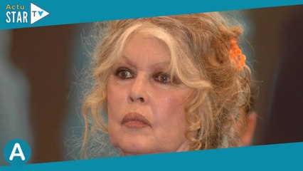 Brigitte Bardot : La série sur sa vie fortement critiquée, un détail précis échauffe les internautes
