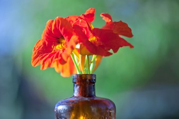 Smoked Glass Is Back: How to Decorate with the Moody 1970s Accent