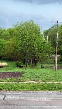 Funnel Cloud Trying To Grow Up To Be A Tornado