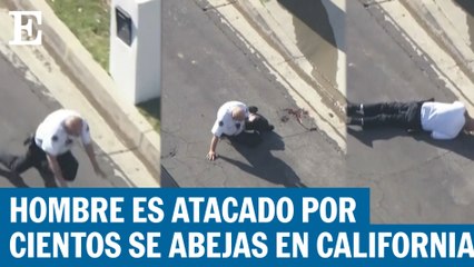 Ataque de abejas en Los Ángeles es captado en video