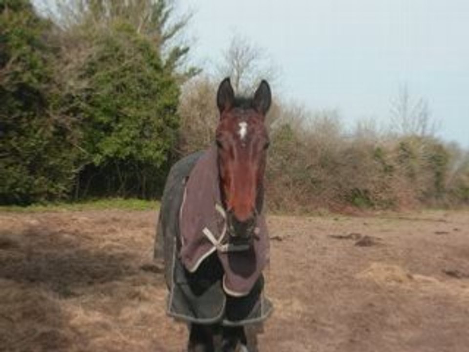 iso et queyras 2 trotteurs