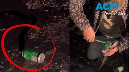 Red-belly snake spent too much time on the hissss