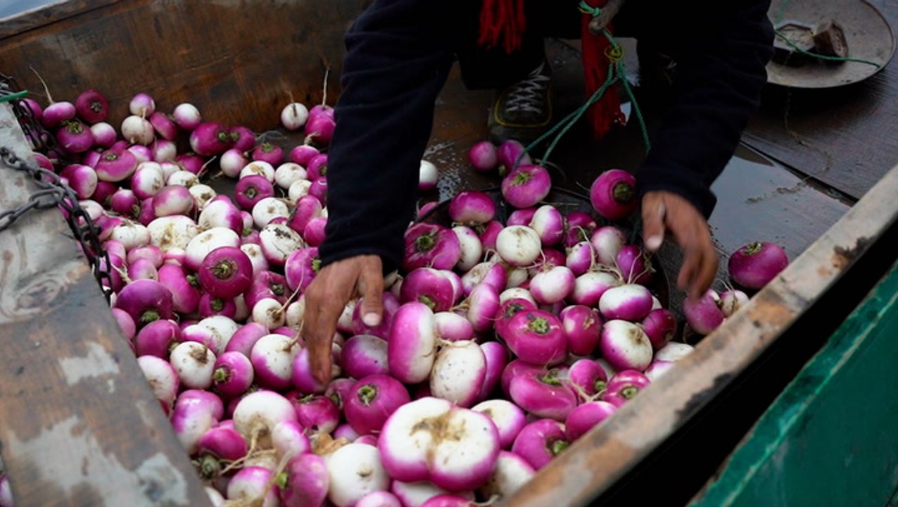 How pollution is threatening Kashmir's century-old floating market