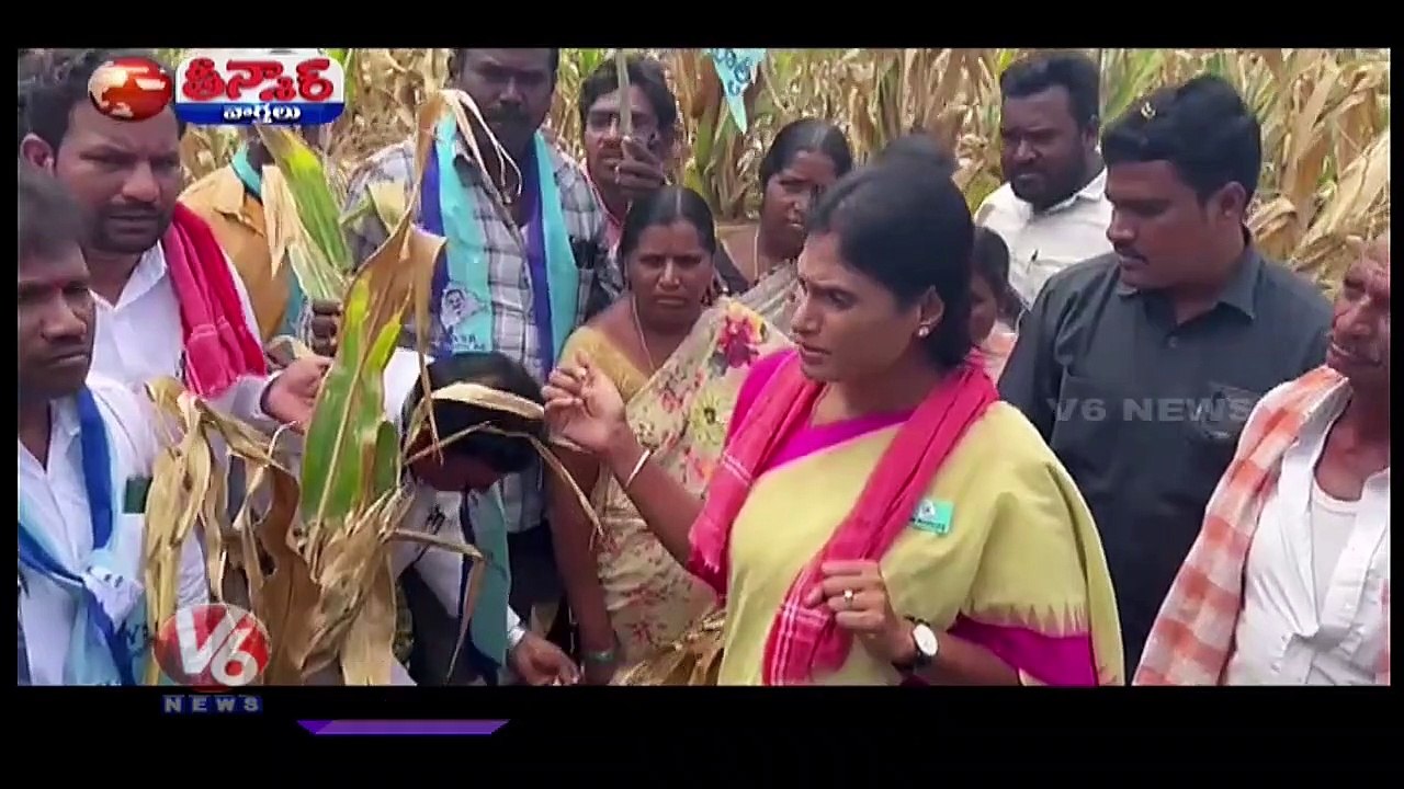 YS Sharmila Gifts Shoes, Constitution To CM KCR, Challenges Him To Join Padayatra | V6 Teenmaar