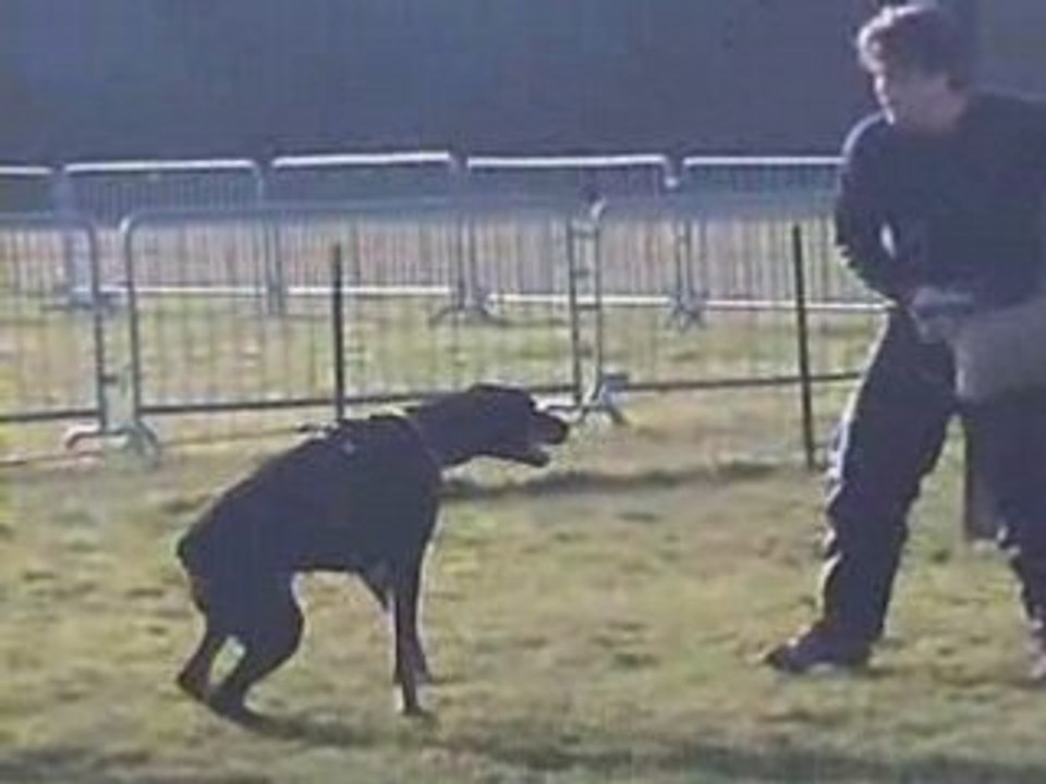 08-02-23-saphira-prise2-mordant