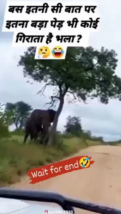 हाथी ने मचाया जंगल मे कोहराम funny video