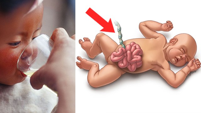 ताल मिश्री खाने से क्या होता है | Palm Candy Benefits In Hindi | Tal Mishri for baby | Boldsky