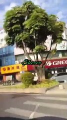 Yaad teri aye gi Mujhko buhat