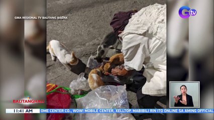 Lola, piniling manirahan sa kalsada kasama ang mga alagang aso't pusa | BT