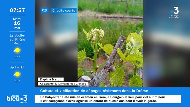 À La Roche-de-Glun, découvrez les vins légers et fruités issus de cépages résistants du Domaine des Granges