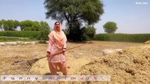 Village Life In The World II Best Village Life Video Aliza Sehar