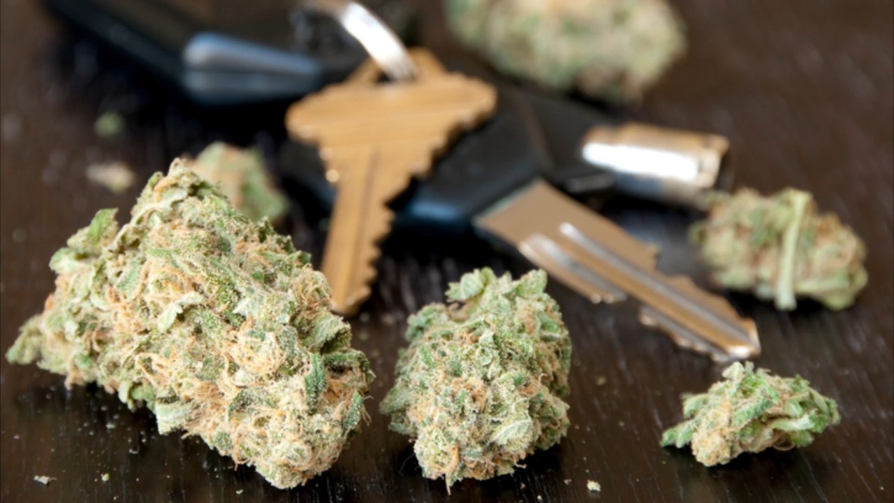 Flüchtiger fahrer wirft marihuana aus auto