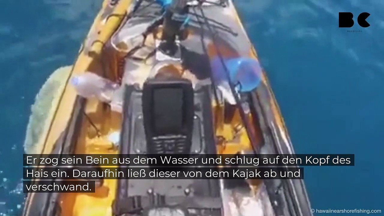 Hai verbeißt sich in kajak: fischer reagiert reflexartig