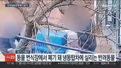 마리당 '1만원'…폐기맡긴 동물번식업자 무더기 입건