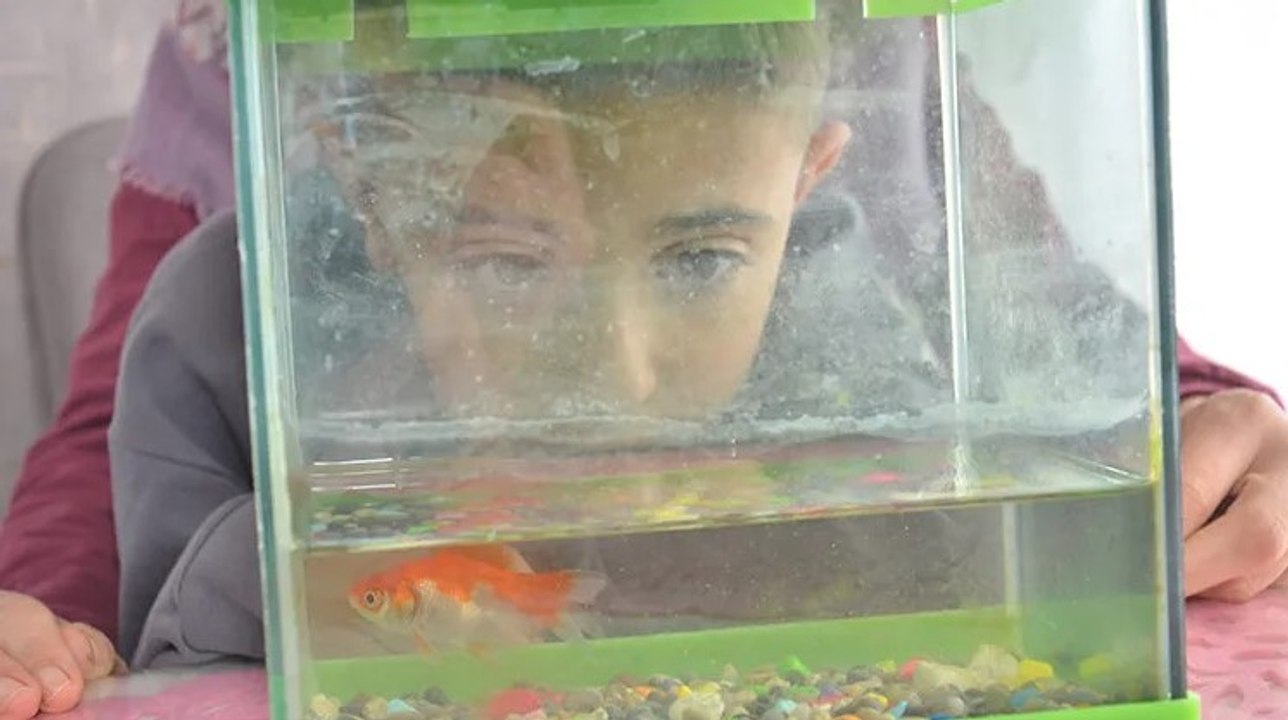 Fanustaki balık depremden 100 gün sonra canlı olarak bulundu