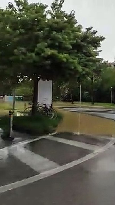 Alluvione in Emilia-Romagna, auto sommerse a San Lazzaro di Savena