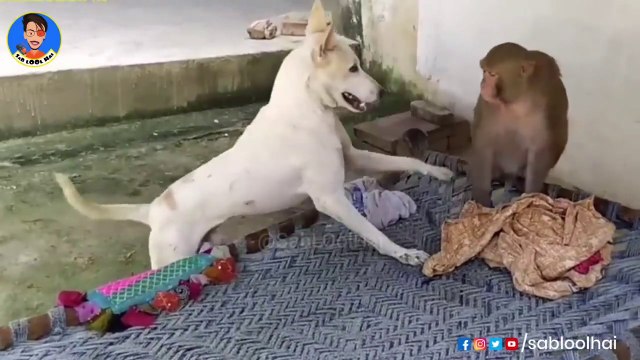 Mood theek Nahin Hai full comedy video