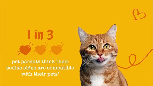 Majority of pet owners say their pet is their soulmate