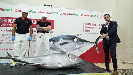 Comienza la temporada del atún rojo de la Almadraba de Barbate