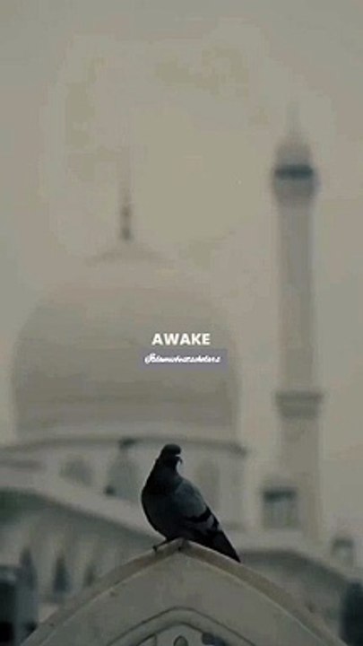 beautiful Islamic status