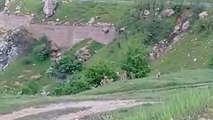 Diyarbakırda nesli tehlikedeki dağ keçisi sürüsü, bir ayda ikinci kez görüntülendi