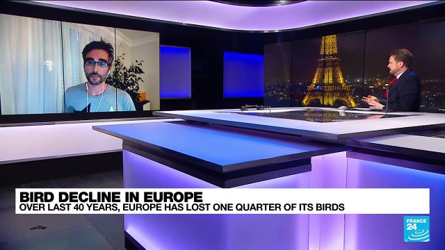 For the birds: High-input agriculture destroys habitats & biodiversity, devastating bird populations