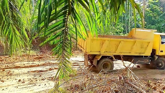 Efficient Loading Excavator Komatsu PC 195 LC Action Dump Truck