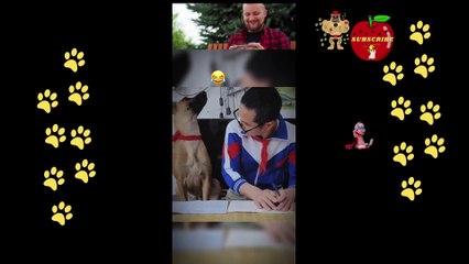 "When Dogs Try to Fit in Small Spaces: Epic Fail Compilation!"