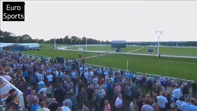 Greyhound dog racing - Track race 480m