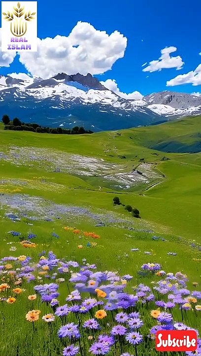 _nature(720P_HD)
