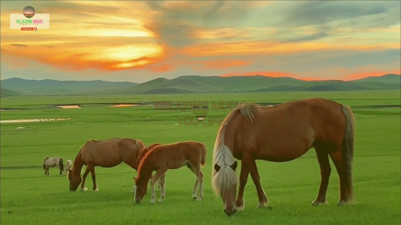 Relaxation Music with Nature Sounds: Alleviate Stress, Ease Anxiety & Depression, and Promote Soul Healing