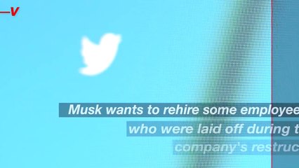 Twitter Will Try to Rehire Some Of Its Laid Off Employees