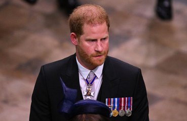 Prince Harry has been told the Metropolitan Police are not "private bodyguards for the wealthy"