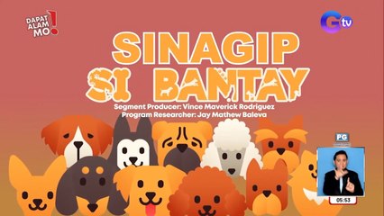 Mga asong nasagip matapos pabayaan, paano mabibigyan ng bagong tahanan? | Dapat Alam Mo!