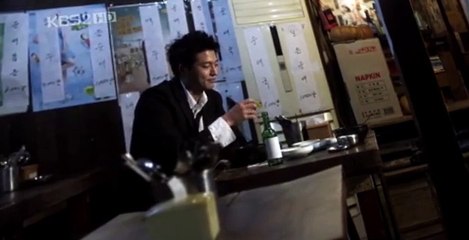 The Fugitive Plan B S01 E20