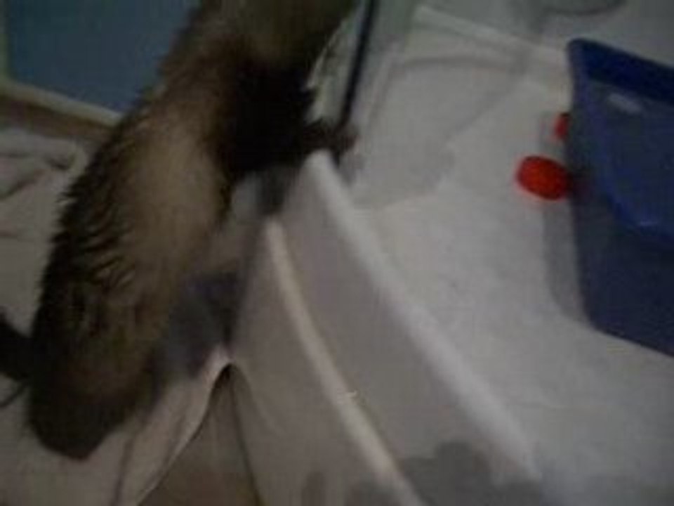 Séchage intensif ^^