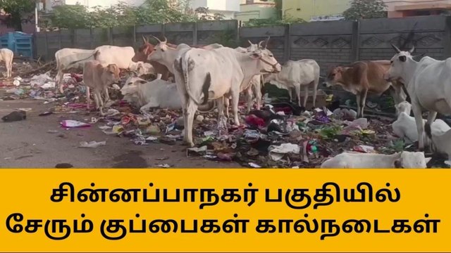 சின்னப்பா நகர் பகுதியில் குப்பைகளை அகற்ற கோரிக்கை!