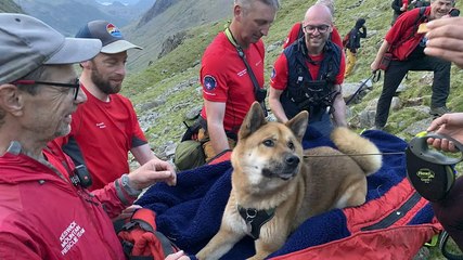 Team of 13 rescuers carry dog down mountain after it ‘refused to move’