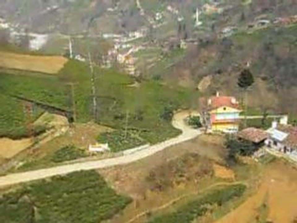 divran