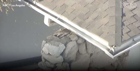 At Least Two People Hospitalized for 'Dozens of Bee Stings' from Swarm in Encino