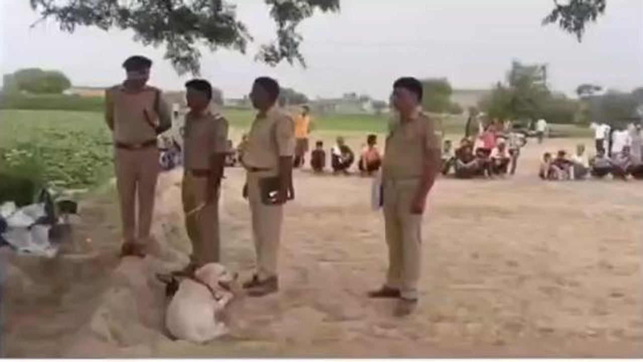 फिरोजाबद: संदिग्ध परिस्थितियों में पेड़ पर लटका मिला युवक का शव, पुलिस जांच में जुटी