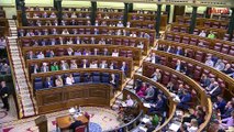 Resumen del Congreso de los Diputados · 17 de mayo